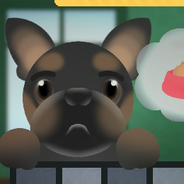 Treat Time dog waiting for food
